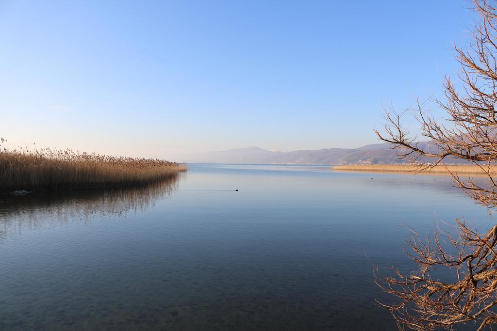 Hotel Montenegro Струга Екстер'єр фото